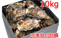 【ふるさと納税】冷凍 殻付 牡蠣 10kg｜広島県産カキ かき  一年中旬の味 宮島 瀬戸 [1378]