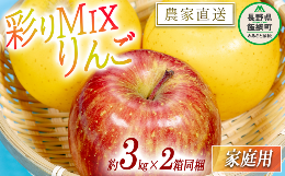 【ふるさと納税】りんご 黄紅彩りMIXりんご サンふじ シナノゴールド 家庭用 3kg × 各1箱 合計 2箱 セット 大友農場 エコファーマー認定