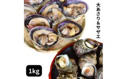 【ふるさと納税】海鮮バーベキューセット1kg(大あさり500g&サザエ500g)大アサリ専用だし醤油付き