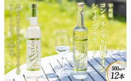 【ふるさと納税】ワイン (コンチネンタル日本ワイン) シャインマスカット 500ml×12 / サン.フーズ / 山梨県 韮崎市 [20741373] 酒 お酒 