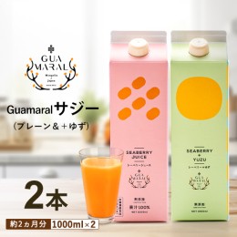 【ふるさと納税】サジージュース 100%と+ゆず 1000ml×各1本セット（計2本）サジー シーベリー 沙棘 グアマラル 健康ドリンク 健康 美容 