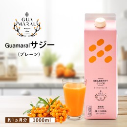 【ふるさと納税】サジージュース 100% 1000ml×1本 サジー シーベリー 沙棘 グアマラル 健康ドリンク 健康 美容 栄養 果汁 鉄分補給 栄養