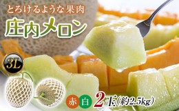 【ふるさと納税】【2024年発送 先行予約】庄内メロン 紅白セット 2玉 3L 約2.5kg FSY-0585