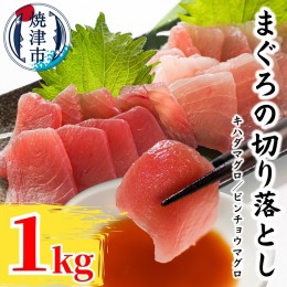 【ふるさと納税】a10-924　天然鮪 焼津 キハダマグロ ビンチョウマグロ 計1kg