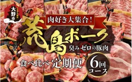 【ふるさと納税】【肉の定期便×6回コース】肉好き大集合！臭みゼロの豚肉「荒島ポーク」食べ比べ 定期便！【福井のブランド豚肉】