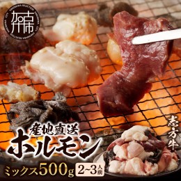 【ふるさと納税】【産地直送】牛ホルモンミックス500g(約2〜3人前)