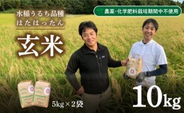 【ふるさと納税】玄米 10kg  新米 精米可 白米 山口 県産 うるち 有機栽培 栽培期間中 農薬 化学肥料 不使用  はたはったん 下関 秋 季節