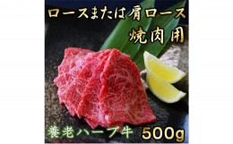 【ふるさと納税】養老ハーブ牛　ロースまたは肩ロース　焼肉用　500g [?5215-0151]