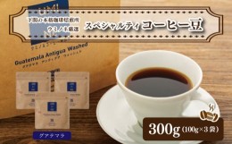 【ふるさと納税】スペシャルティ コーヒー豆セット グアテマラ 300g(100g×3袋)  下関市 山口 