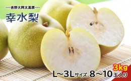 【ふるさと納税】G15 幸水 梨 L 〜 3L サイズ 約3kg 8〜10玉  | フルーツ 果物 くだもの 梨 幸水 奈良県 大淀町