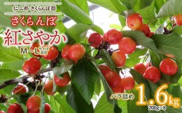 【ふるさと納税】【令和6年産先行予約】 さくらんぼ 紅さやか M〜Lサイズ 混合バラ詰め 1.6kg(200g×8)　山形県鶴岡産　仁三郎さくらんぼ