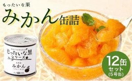 【ふるさと納税】【訳あり】 もったいな果シリーズ みかん 缶詰 5号缶×12缶 セット 国産