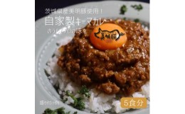 【ふるさと納税】DE-3　【5個入】カレー好き必見！絶品キーマカレーBOX