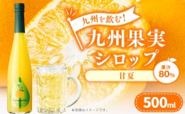 【ふるさと納税】九州を飲む！九州果実 シロップ 甘夏 果物 フルーツ 柑橘 ジュース