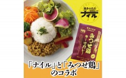 【ふるさと納税】DR002　博多の名店ナイル　みつせ鶏キーマカレー１０パックセット