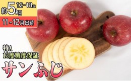 【ふるさと納税】11〜12月 特A 蜜入り サンふじ約5kg（12〜18個）13度糖度保証【青森りんご・ゆうきアップル・11月・12月】