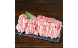 【ふるさと納税】朝日豚バラ肉(しゃぶしゃぶ用)1.2kg【1404324】