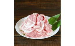 【ふるさと納税】朝日豚肩ロース肉(焼肉用)1.1kg【1404309】