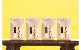 【ふるさと納税】【令和5年産】南魚沼産コシヒカリ（白米20kg×全6回）新潟県 特A地区の美味しいお米。