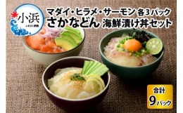 【ふるさと納税】さかなどん　3種(マダイ・ヒラメ・サーモン)×3セット　海鮮漬け丼セット 
