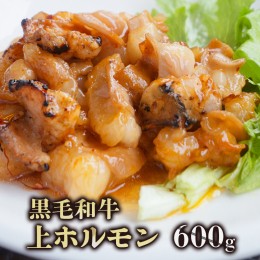 【ふるさと納税】旨辛っ！ 600g入り　黒毛和牛 トロ ホルモン焼き 3〜4人前 秘伝のタレ付【数量限定】 