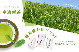 【ふるさと納税】【2024年度　宇治茶】京の新茶飲み比べセット（煎茶100g×3種）〈新茶 お茶 茶 緑茶 煎茶 茶葉 宇治茶 飲み比べ セット 