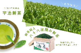 【ふるさと納税】【2024年度　宇治新茶】桐茶箱入り八十八夜摘み新茶（250g×2袋）〈新茶 お茶 茶 緑茶 煎茶 茶葉 八十八夜 宇治茶 桐箱 