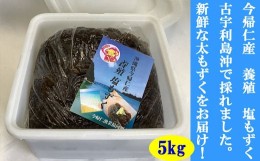 【ふるさと納税】今帰仁村　古宇利島産　養殖　塩もずく　大容量5？