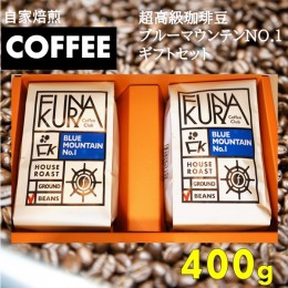 【ふるさと納税】DS-505 超高級珈琲豆ブルーマウンテンNO.１ギフトセット（200gx2袋）