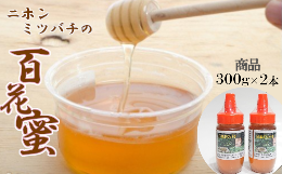 【ふるさと納税】【数量限定】日本ミツバチの百花蜜2本セット（300ｇ×2）　【02402-0244】