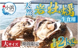 【ふるさと納税】【期間限定】若狭の天然岩牡蠣（生食用）2kg 6〜8個入り