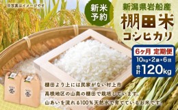 【ふるさと納税】【新米受付・令和6年産米】NF4009 新潟県岩船産  棚田米コシヒカリ20kg×6ヶ月お届け 定期便 毎月 新米予約 お米 白米 