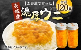 【ふるさと納税】壱岐産 濃厚 ウニ 60g ×2本《壱岐市》【合同会社塚元】ムラサキウニ 海産物 海鮮 うに 雲丹 珍味 [JDR022] 27000 27000