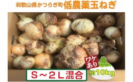 【ふるさと納税】農家さん直送！【訳あり】低農薬玉ねぎご家庭用Ｓ〜２Ｌ混合 約１０ｋｇ【４月中旬〜７月中旬発送予定】【ご家庭用※傷