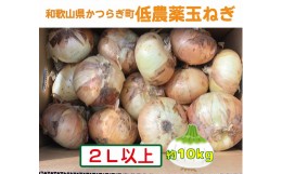 【ふるさと納税】農家さん直送！低農薬玉ねぎ２Ｌサイズ以上約１０ｋｇ【４月中旬〜７月中旬発送予定】