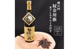 【ふるさと納税】糸魚川の地酒『越の国奴奈川族』大吟醸720ml　素干しホタルイカ付き