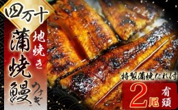 【ふるさと納税】四万十地焼き蒲焼鰻2尾セット Esg-19 国産 うなぎ 蒲焼 鰻 塩鰻 ウナギ 蒲焼 白焼 国産 鰻 ウナギ うなぎ 蒲焼き 肉厚 