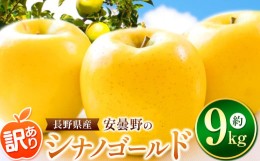 【ふるさと納税】【2024年 令和6年度発送 先行予約】訳あり 安曇野の シナノゴールド 約 9kg ｜ リンゴ りんご 林檎 果物 フルーツ 果実 