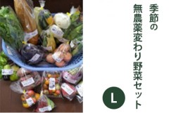 【ふるさと納税】2024年度先行予約【種to菜園】季節の無農薬変り野菜　Lセット