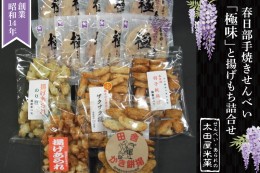 【ふるさと納税】BU002 春日部手焼きせんべい「極味」と揚げもち詰合せ