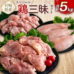 【ふるさと納税】宮崎県産鶏肉 スペシャル鶏三昧セット 合計5kg【B607】