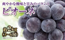【ふるさと納税】ピオーネ ぶどう 葡萄 ピオーネ 約 2kg さぬき市 香川県
