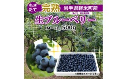 【ふるさと納税】＜園主厳選＞実のり畑中果樹園産のもぎたて完熟生ブルーベリー約500g(M〜2Lサイズ込み)【1404982】