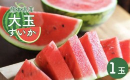 【ふるさと納税】熊本県産 大玉スイカ 1玉 | フルーツ 果物 くだもの ウリ科 スイカ すいか 西瓜 大玉 熊本県 苓北町