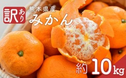 【ふるさと納税】熊本県産 訳あり みかん 約10kg