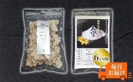 【ふるさと納税】菊芋 チップス The Cooking Chips＆パウダー セット 各100g 定期便 チャック付き パック【6ヶ月間毎月お届け】