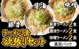 【ふるさと納税】岐阜老舗ラーメン店天外　ラーメン3食欲張りセット（醤油・味噌・豚骨）簡単調理　本格ラーメン　食べ比べ　主婦応援　