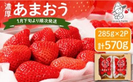 【ふるさと納税】先行予約【2025年1月下旬〜3月下旬発送】ココロファームの 濃厚あまおう 285g × 2P 約570g 《豊前市》 苺 いちご あま