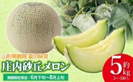 【ふるさと納税】【令和6年産 先行予約】庄内砂丘メロン　約5kg（3〜5個入り）　サンエイファーム