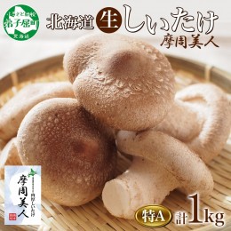 【ふるさと納税】1949. しいたけ 特A 秀品 4パック 計1kg 摩周美人 シイタケ 椎茸 生しいたけ きのこ キノコ 菌床栽培 大粒 肉厚 BBQ バ